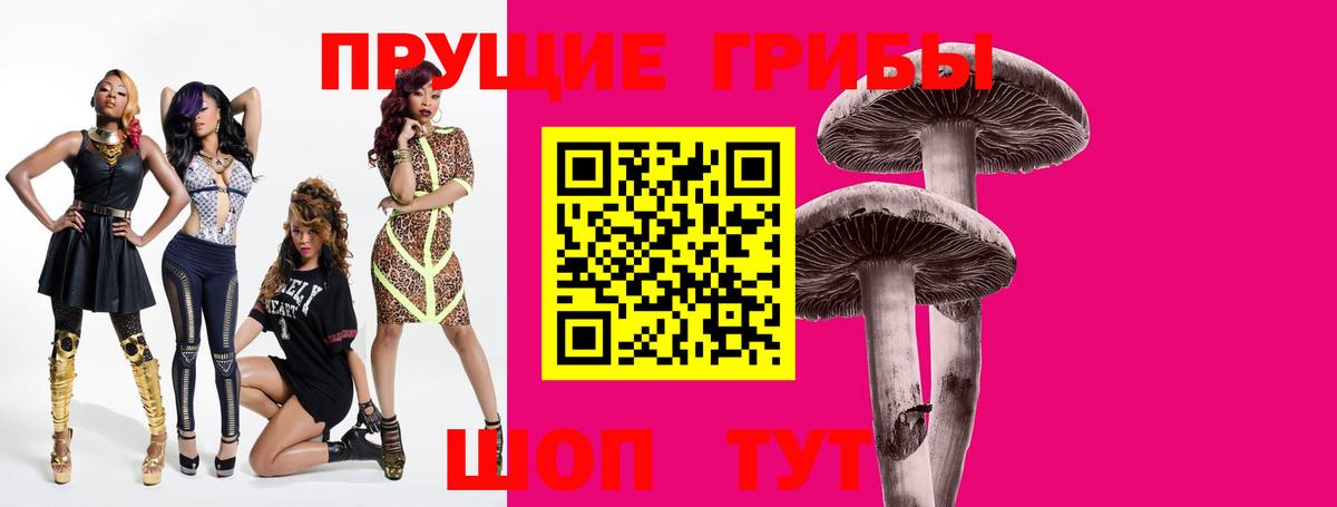 Псилоцибиновые грибы Cubensis Краснокаменск